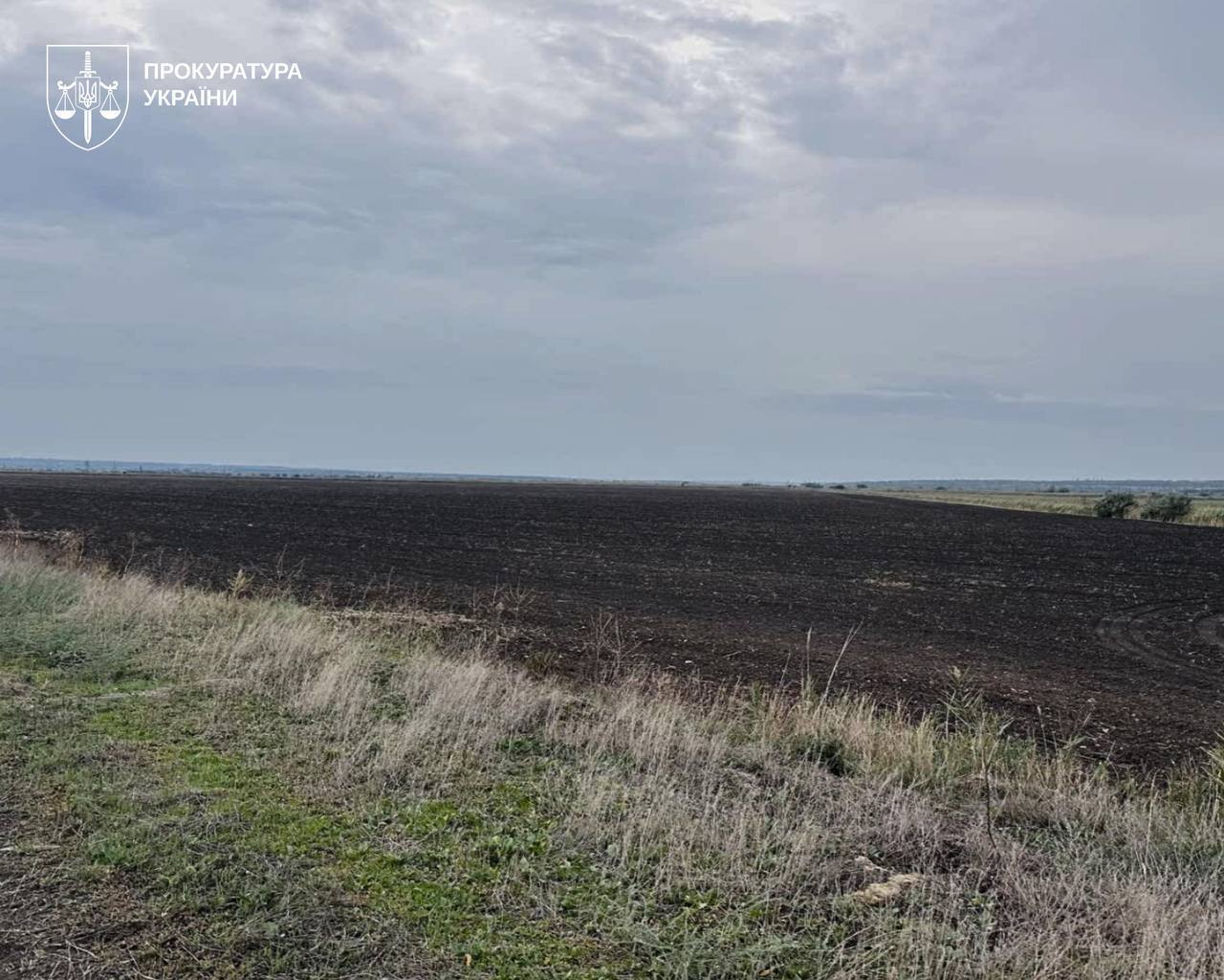 155 гектаров водоемов вернули общине Николаевской области: решение Верховного Суда