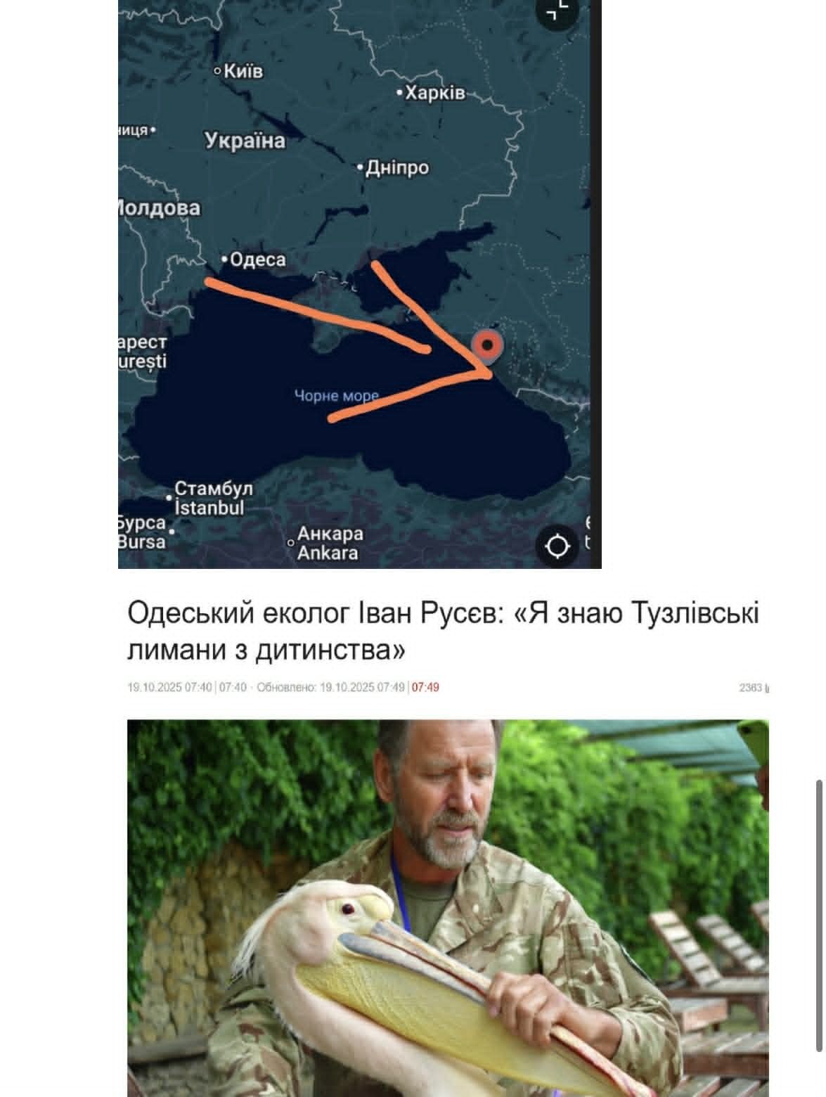 Що відомо про ситуацію з дельфінами на півдні України