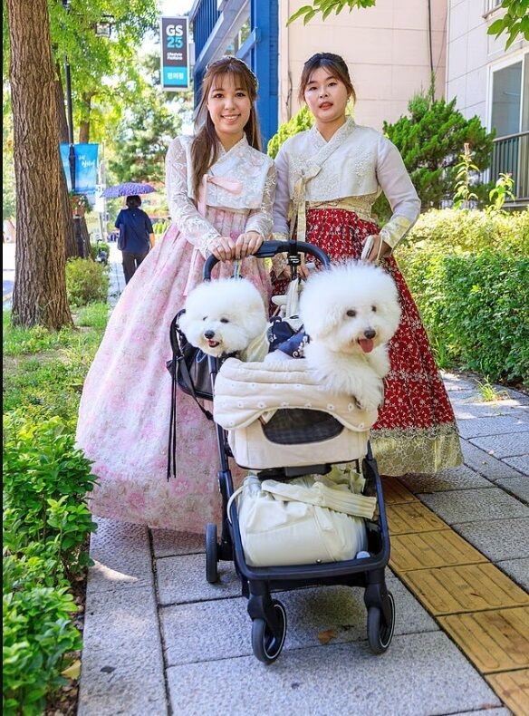 Южная Корея на грани демографического кризиса: рекордное падение рождаемости