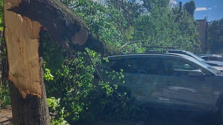 Погода готовит украинцам ''сюрпризы'' - прогноз на май