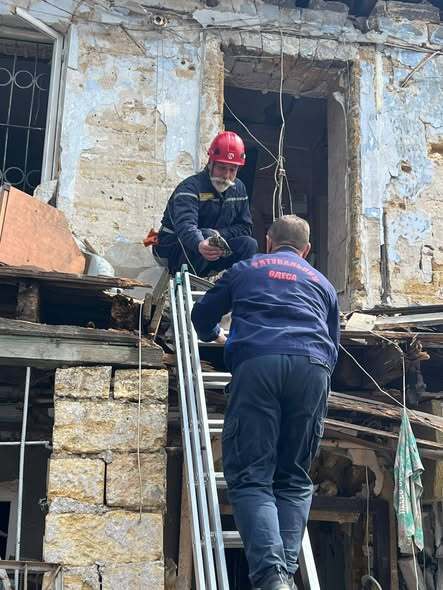 Чудо среди руин: в Одессе из-под завалов после обстрела спасли черепаху, выжившую более 5 дней