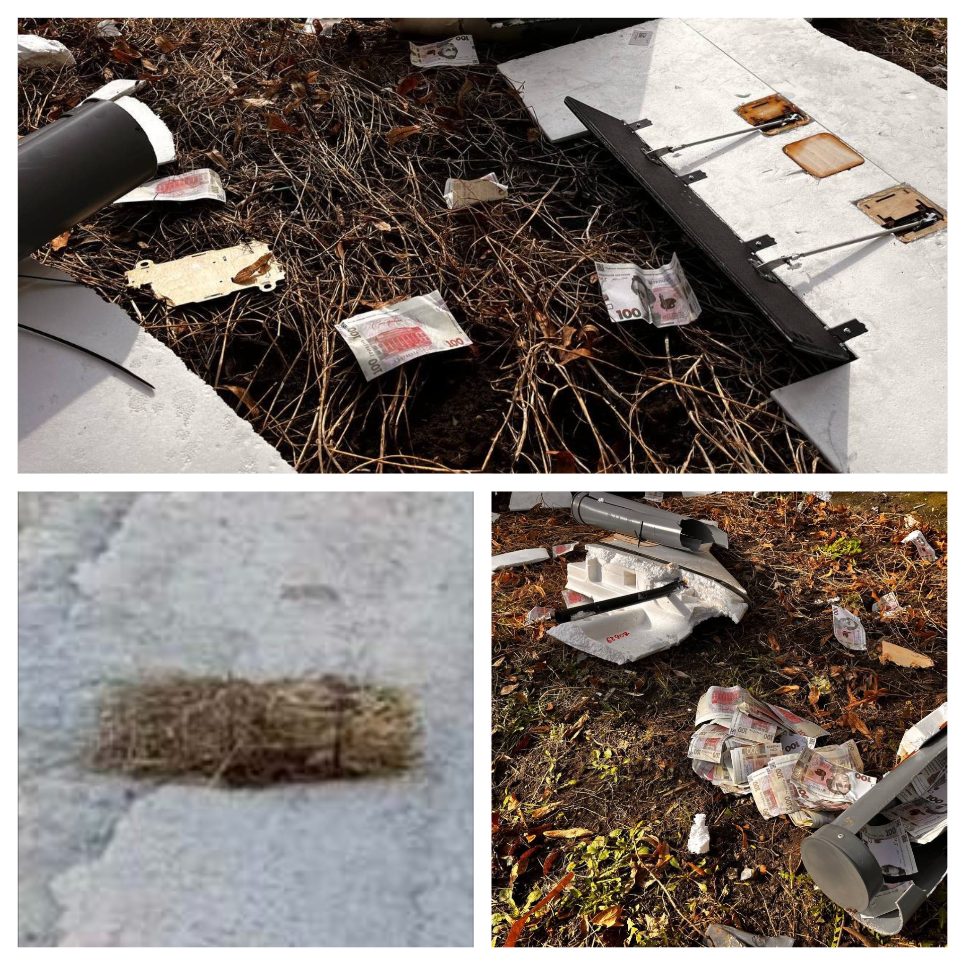 Колаж із фейкових гривень і міни