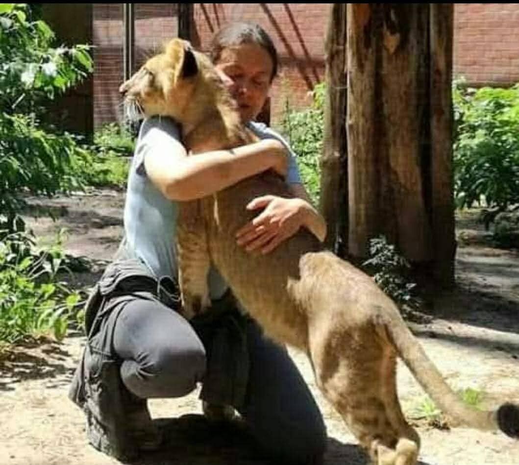 Суд над зоозащитницей: в Польше рассматривают дело Евы Зграбчинской