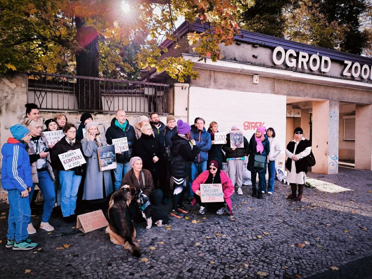 Суд над зоозащитницей: в Польше рассматривают дело Евы Зграбчинской