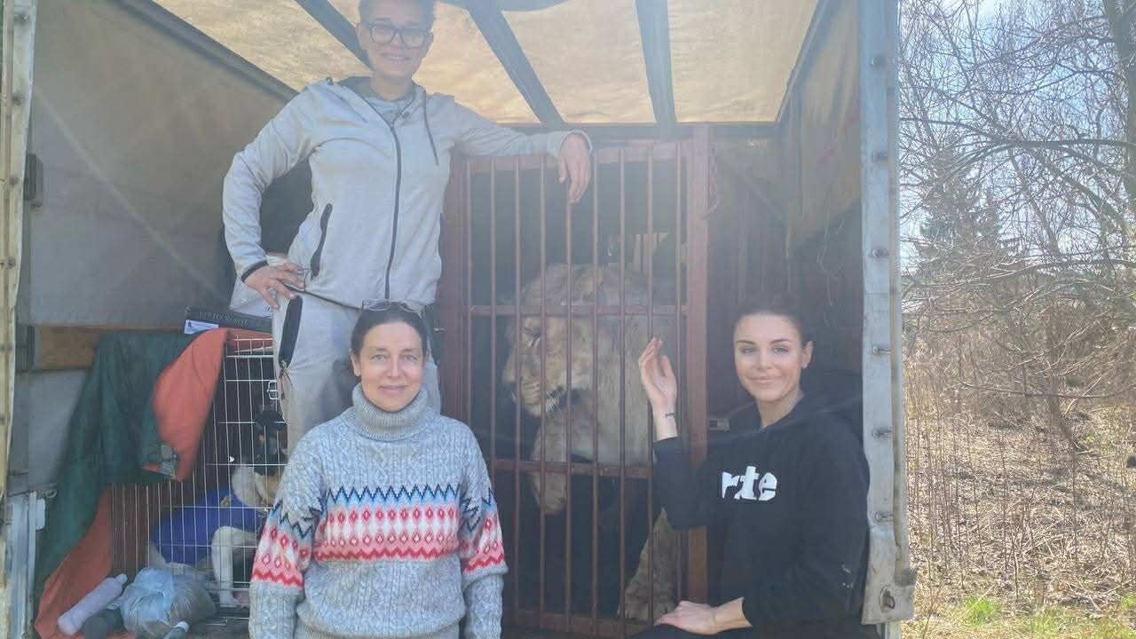 Суд над зоозащитницей: в Польше рассматривают дело Евы Зграбчинской