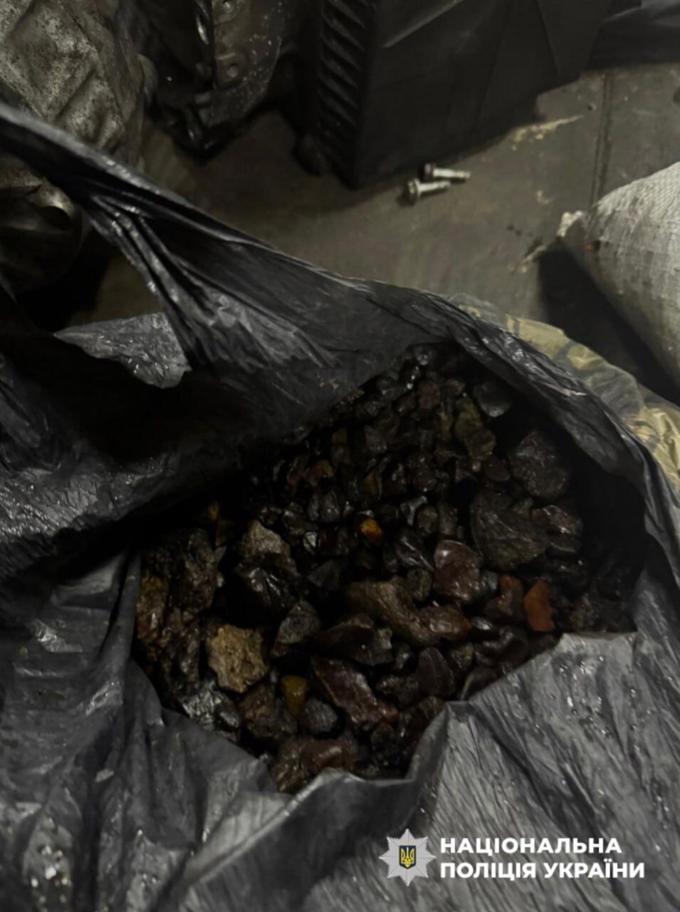 В Ровенской области разоблачили цех по обработке янтаря и изъяли 80 кг камней