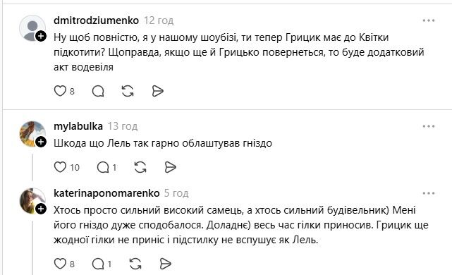 Драма аистов в Леляках: Грицик вернулся и отстоял гнездо