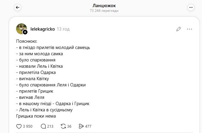 Драма аистов в Леляках: Грицик вернулся и отстоял гнездо