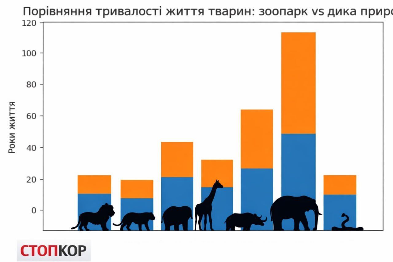 Манипуляции вокруг животных: смертность в зоопарках