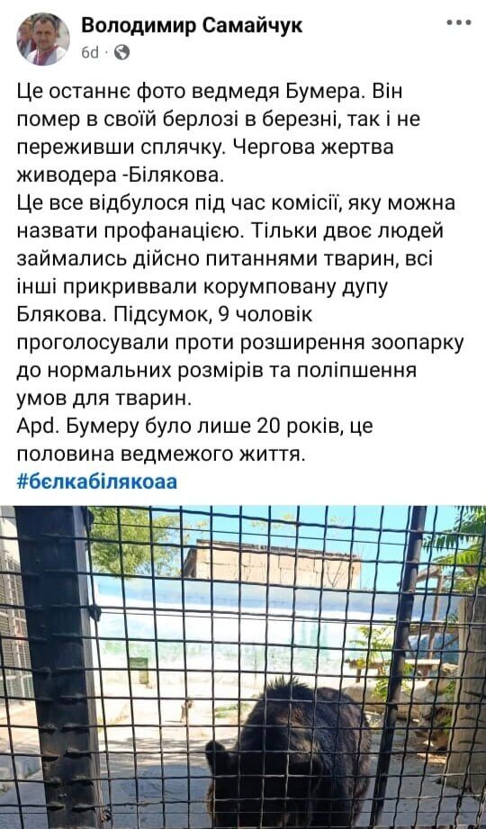 Манипуляции вокруг животных: смертность в зоопарках