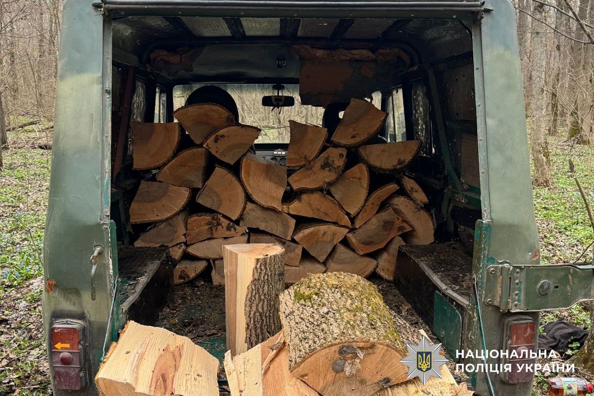 Поліція Полтавщини викрила незаконну порубку дерев на 160 тис. грн