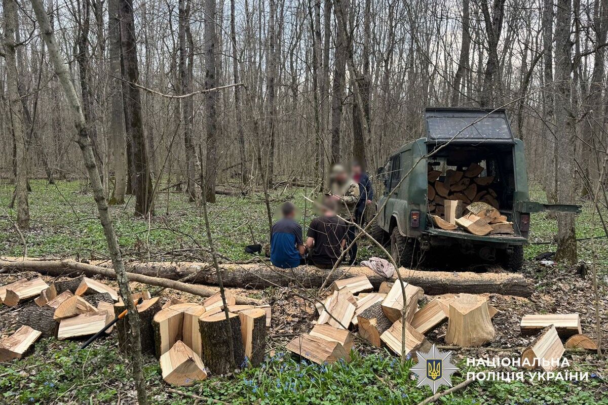 Поліція Полтавщини викрила незаконну порубку дерев на 160 тис. грн