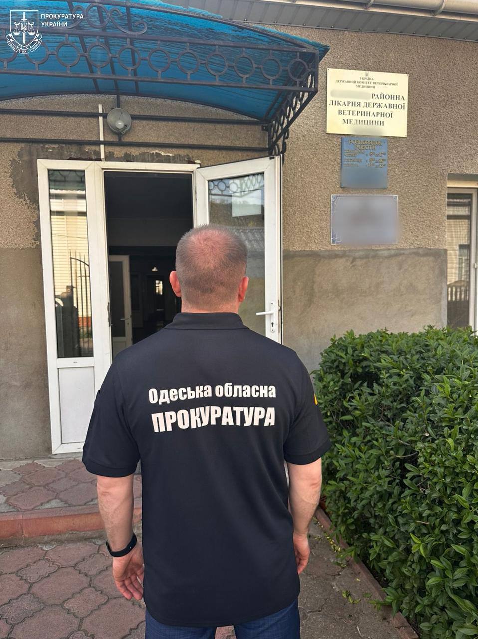 В Одесской области ''нарисовали'' тысячи коз и овец: дельцы присвоили миллионы из госбюджета