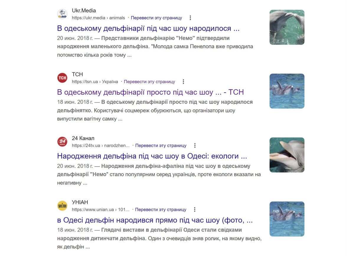 Тайный рынок дельфинов
