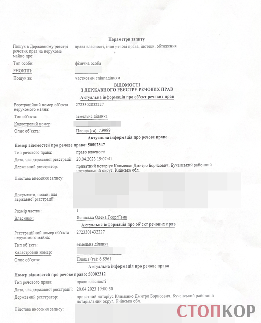 Пентхауз для ''Холостяка'' и миллионы вне декларации? Что известно о бизнесе семьи депутата Ясинского