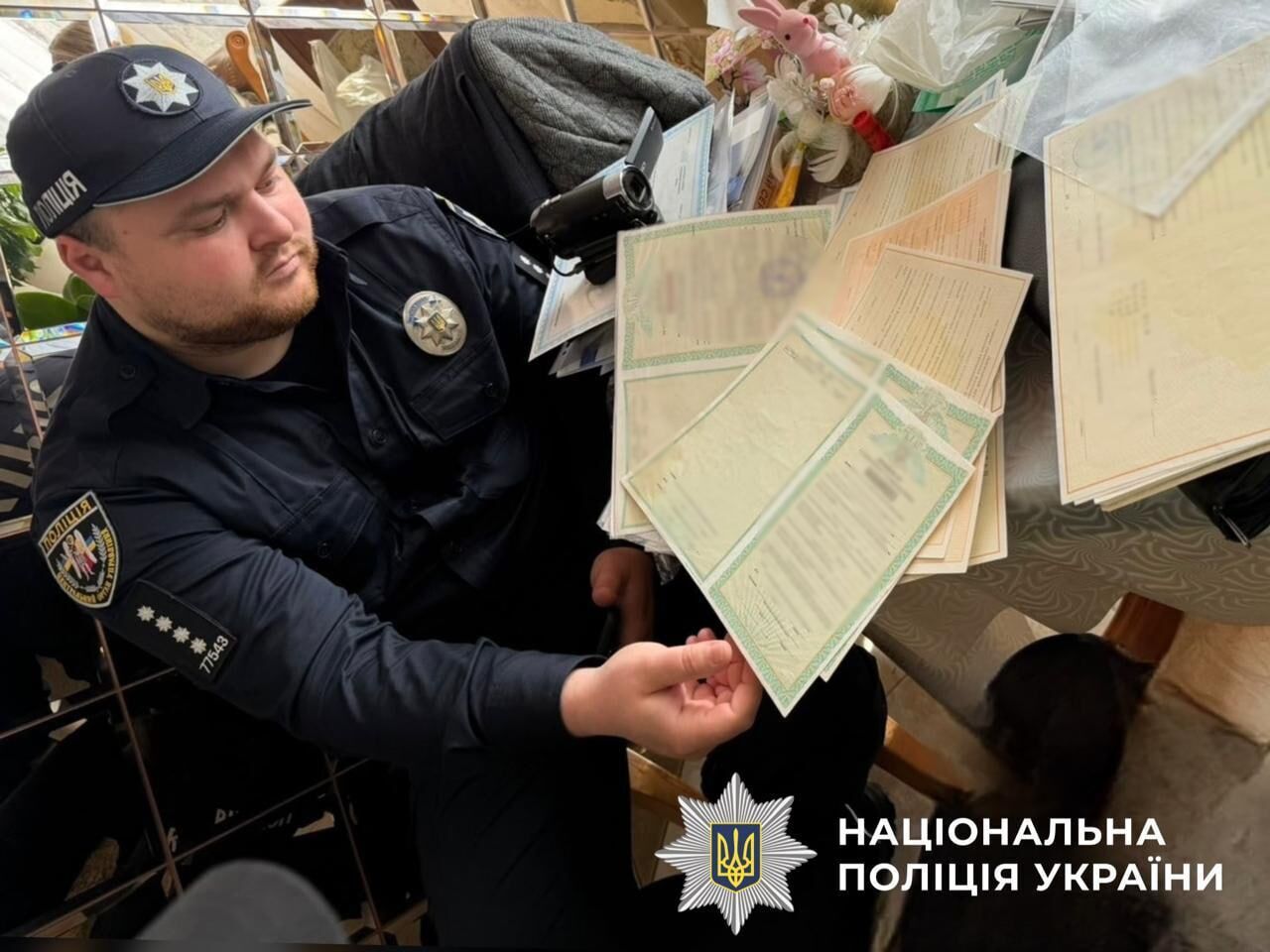 Понад 60 гектарів землі незаконно переоформили на Київщині, – слідство