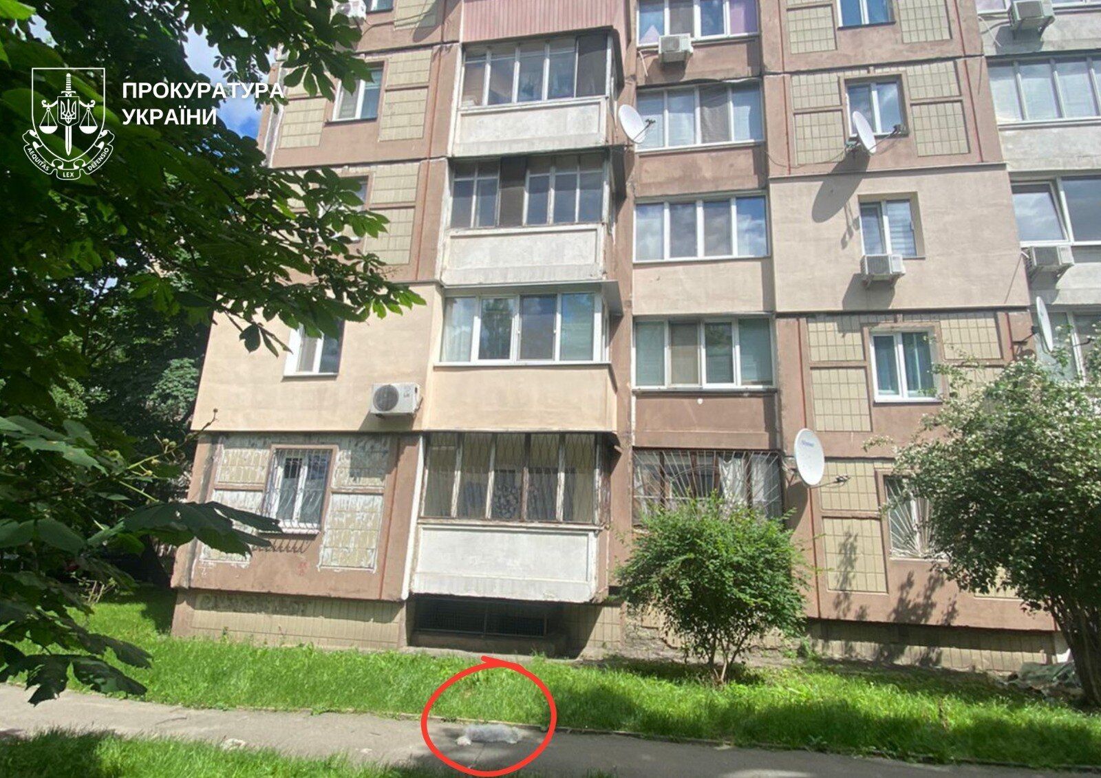 У Києві пенсіонеру повідомили про підозру за загибель собаки, яку викинули з шостого поверху