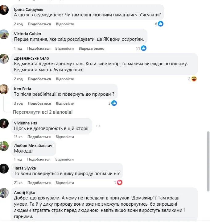 У Карпатах врятували двох ведмежат, яких знайшло подружжя туристів