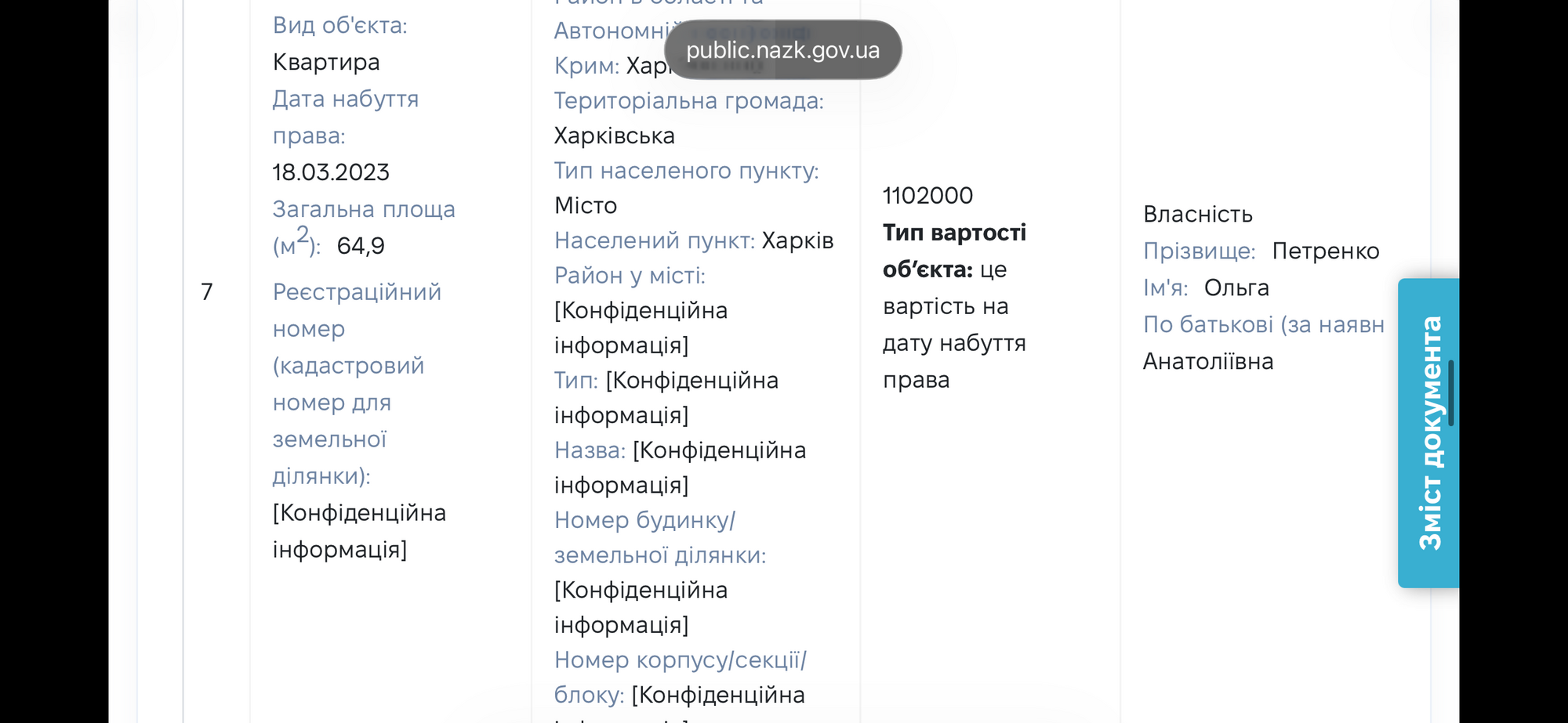 Декларація Ольги Петренко