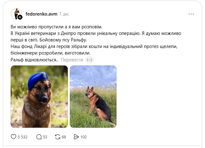 В Днепре ветеринары выполнили сложную операцию служебному псу Ральфу