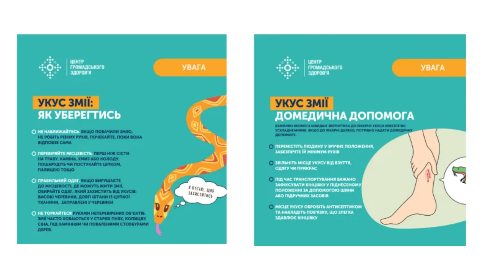 Українців попереджають про небезпеку в лісах: що варто знати про гадюку Нікольського