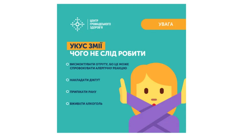 Українців попереджають про небезпеку в лісах: що варто знати про гадюку Нікольського