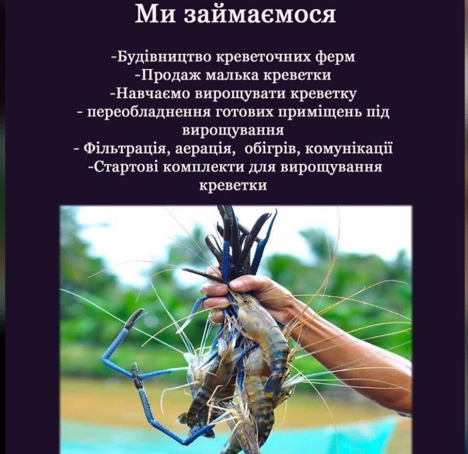 Реклама на странице ООО ''Украинская креветка''