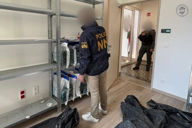Угорщина вилучила рекордну партію кокаїну, заховану в бананах з Еквадору