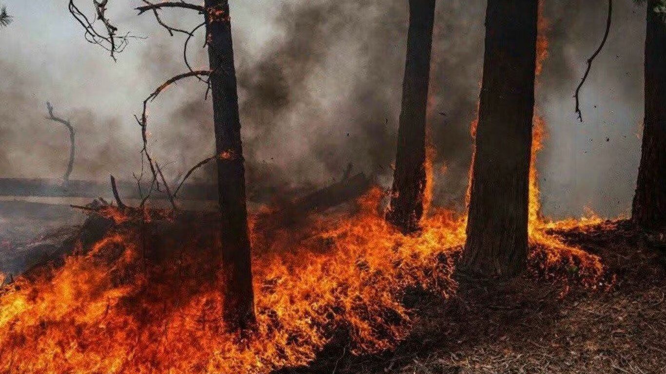 Пожежі в Чорнобильській зоні можуть знову погіршити якість повітря в Києві