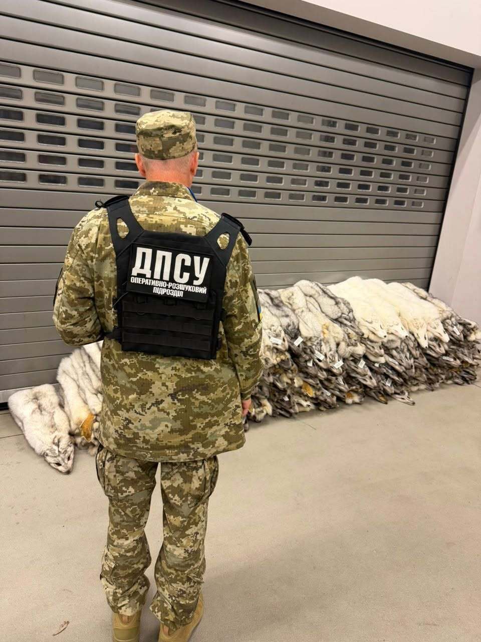 Во Львовской области изъяли 120 шкурок песца на границе с Польшей