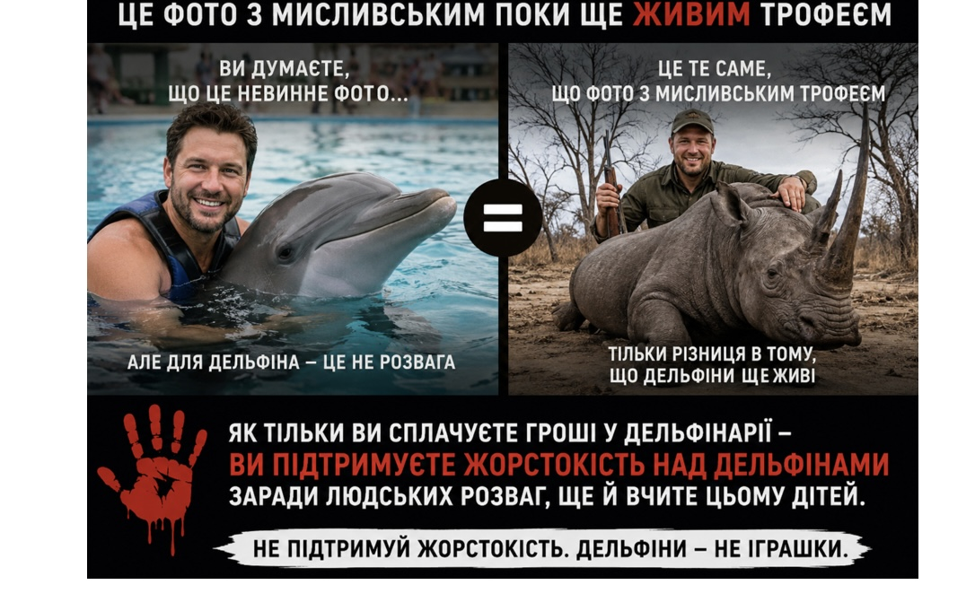 Дельфіни, аутизм і великі гроші