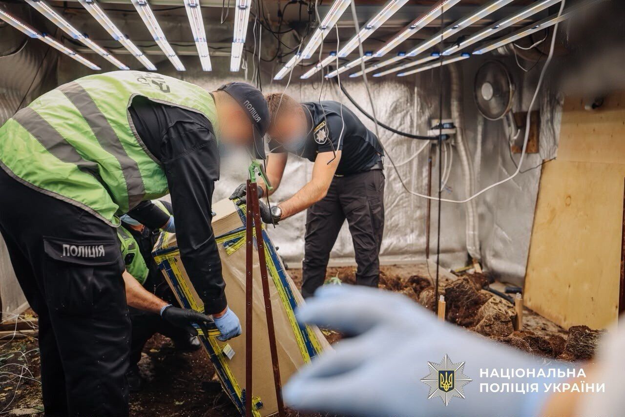 Нацполиция ликвидировала почти 30 тысяч кустов конопли и мака во время спецоперации ''Джентльмены''