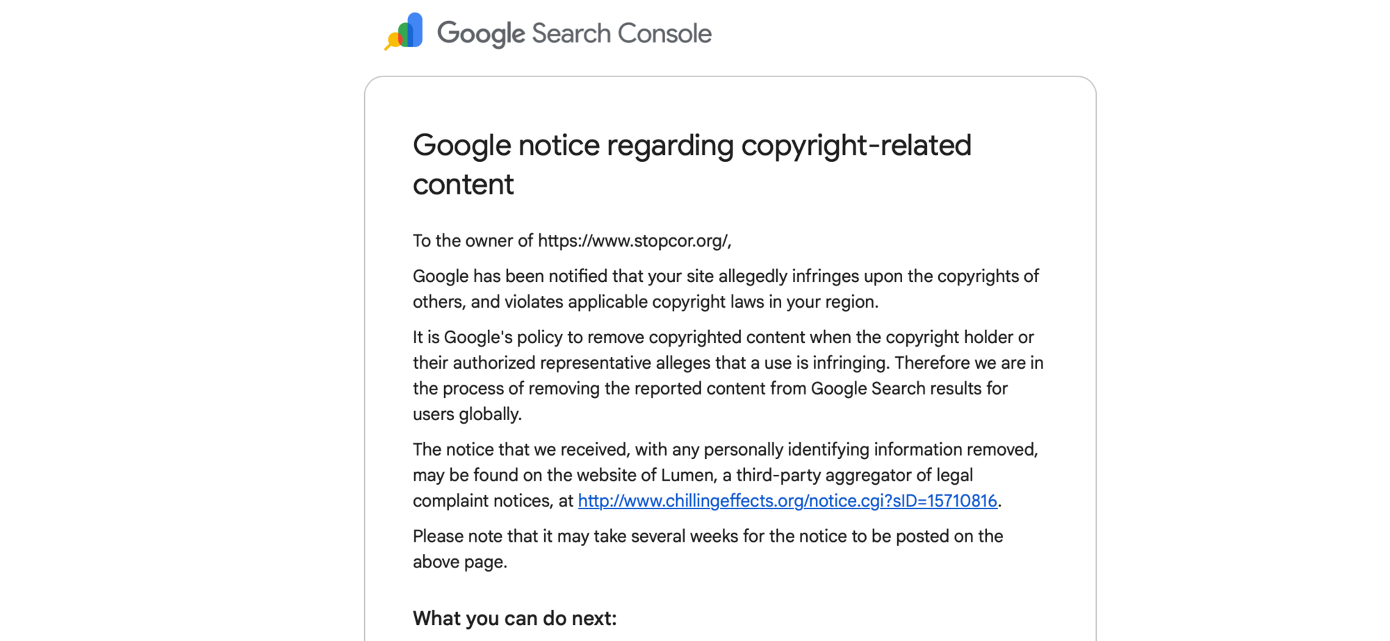Информационная атака на ''СтопКор'' продолжается: в Google пришла новая волна жалоб на материалы, большинство из которых касается Юрия Голика