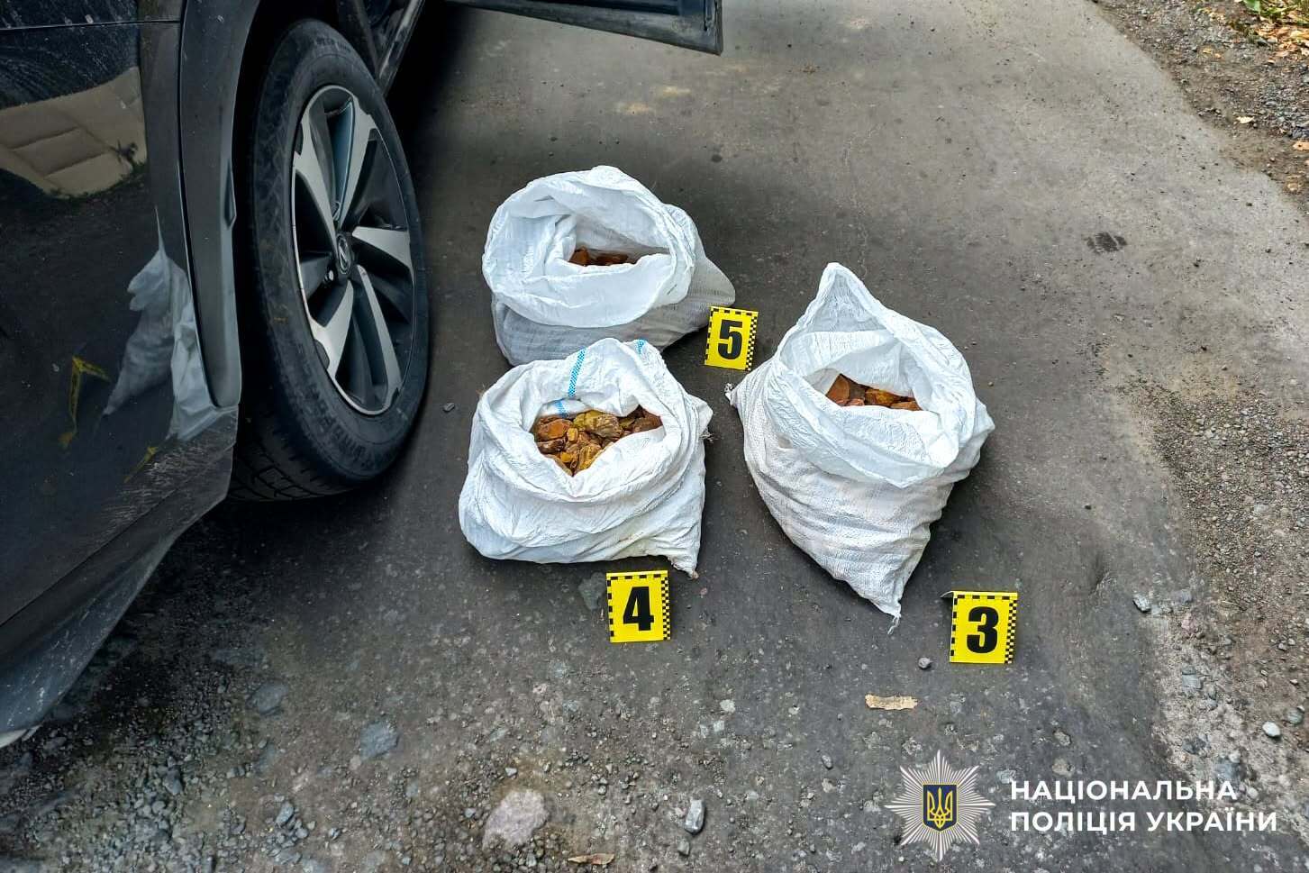 В Ровенской области на блокпоста остановили Lexus с более чем 20 килограммами янтаря