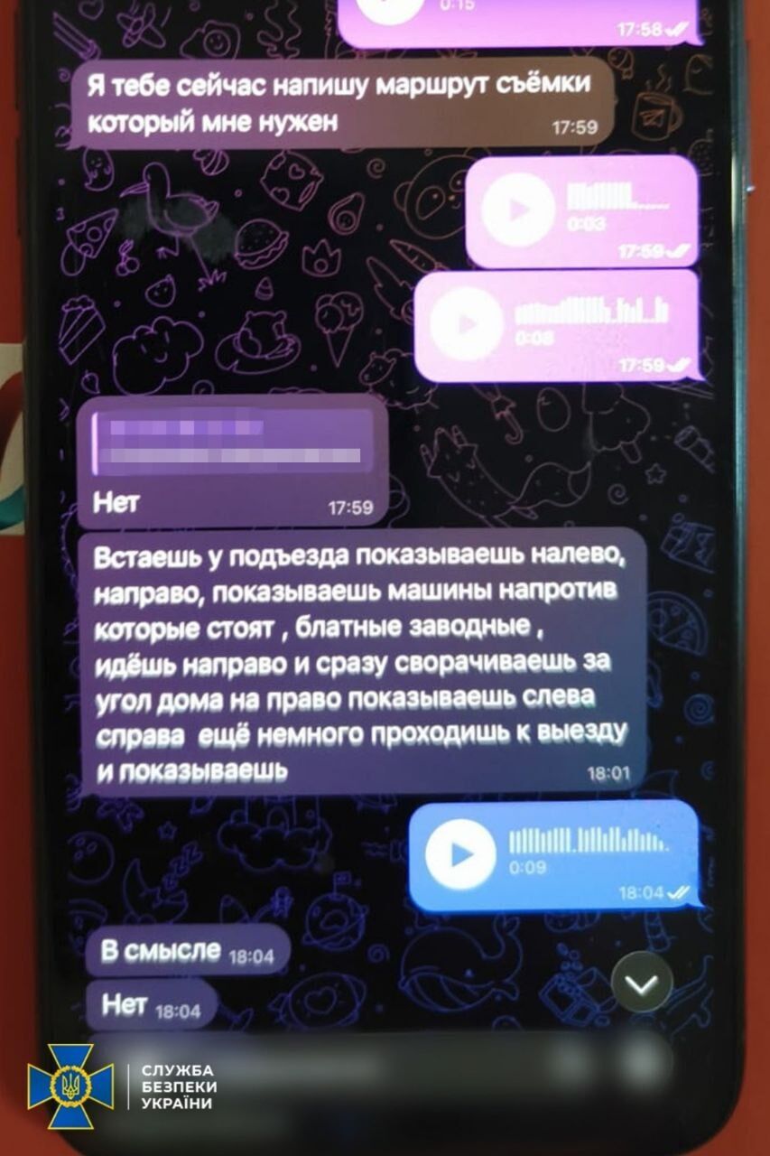 СБУ задержала агентшу рф, которая готовила теракты возле админзданий в Одесской области