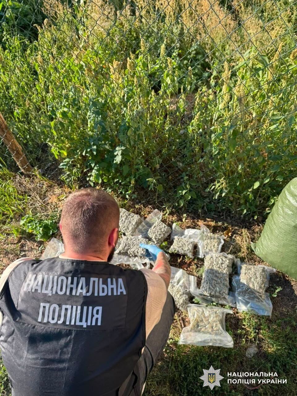 ''Рубікон'': Нацполіція завершила масштабну спецоперацію з ліквідації наркоінфраструктури
