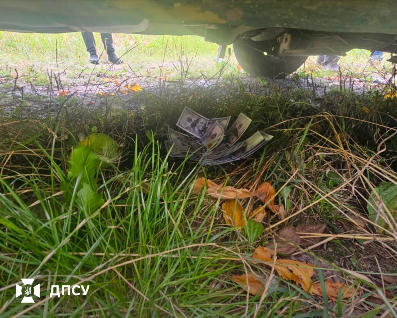 У коробках з-під бананів за $11 тисяч: на Вінниччині викрили схему переправлення чоловіків за кордон