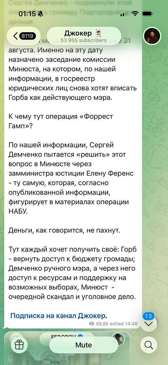 Скандал в Подгороднем: отстраненный мэр пытается восстановиться через Минюст – при чем здесь замминистра Ференс?