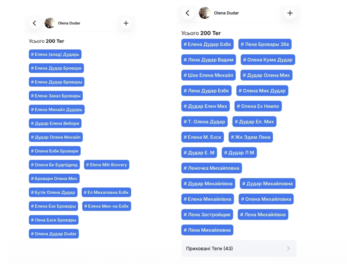 Конфлікт інтересів, офшори та ймовріний російський слід: хто така Олена Дудар 