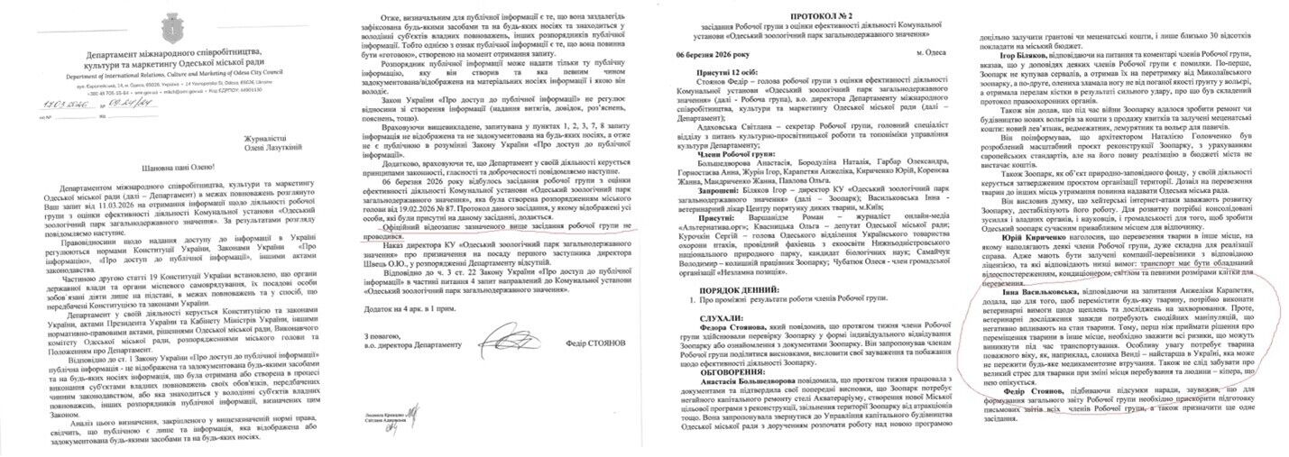 Слониха Венди в Одесском зоопарке: почему так упорно взялись за нее?