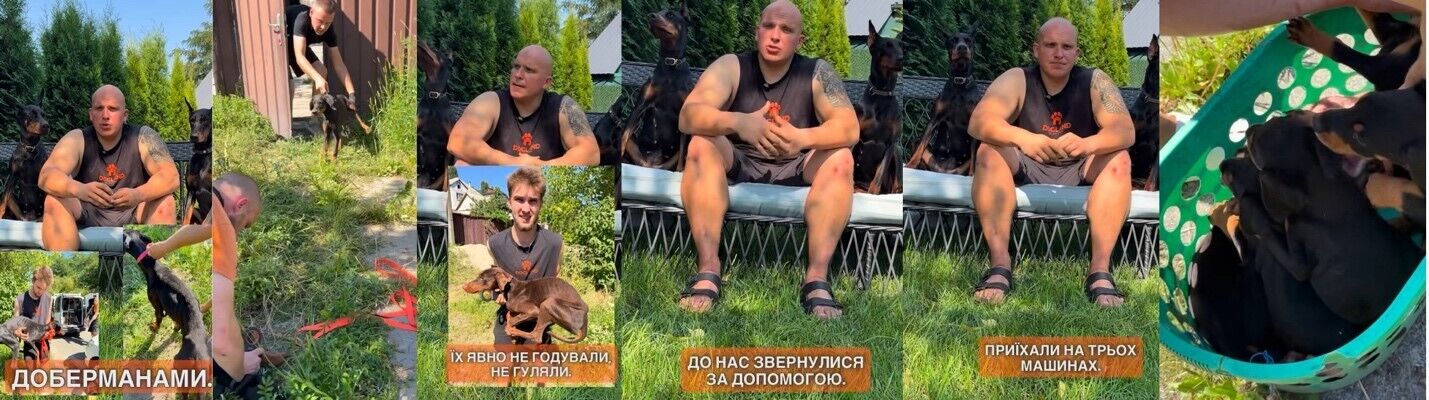 скрины из видео зооволонтеров