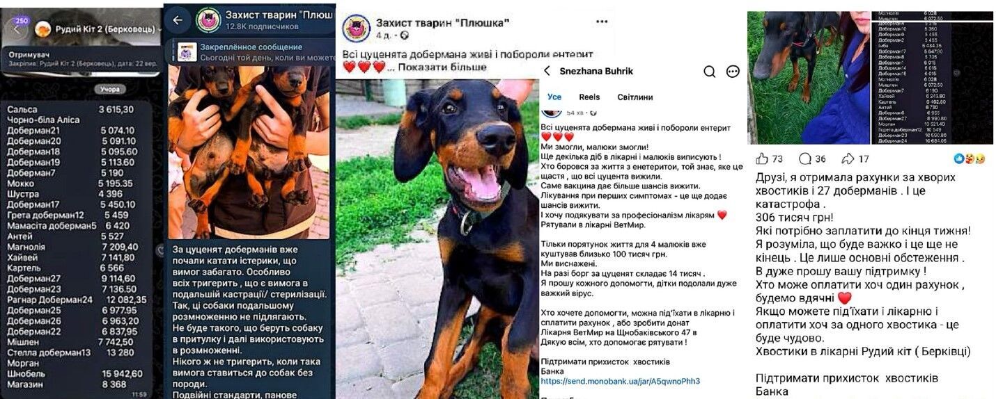 скрины
