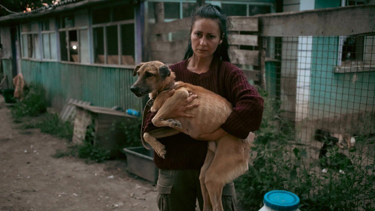 На Вінниччині з приватного притулку евакуювали 14 собак: тварин лікують після неналежного утримання