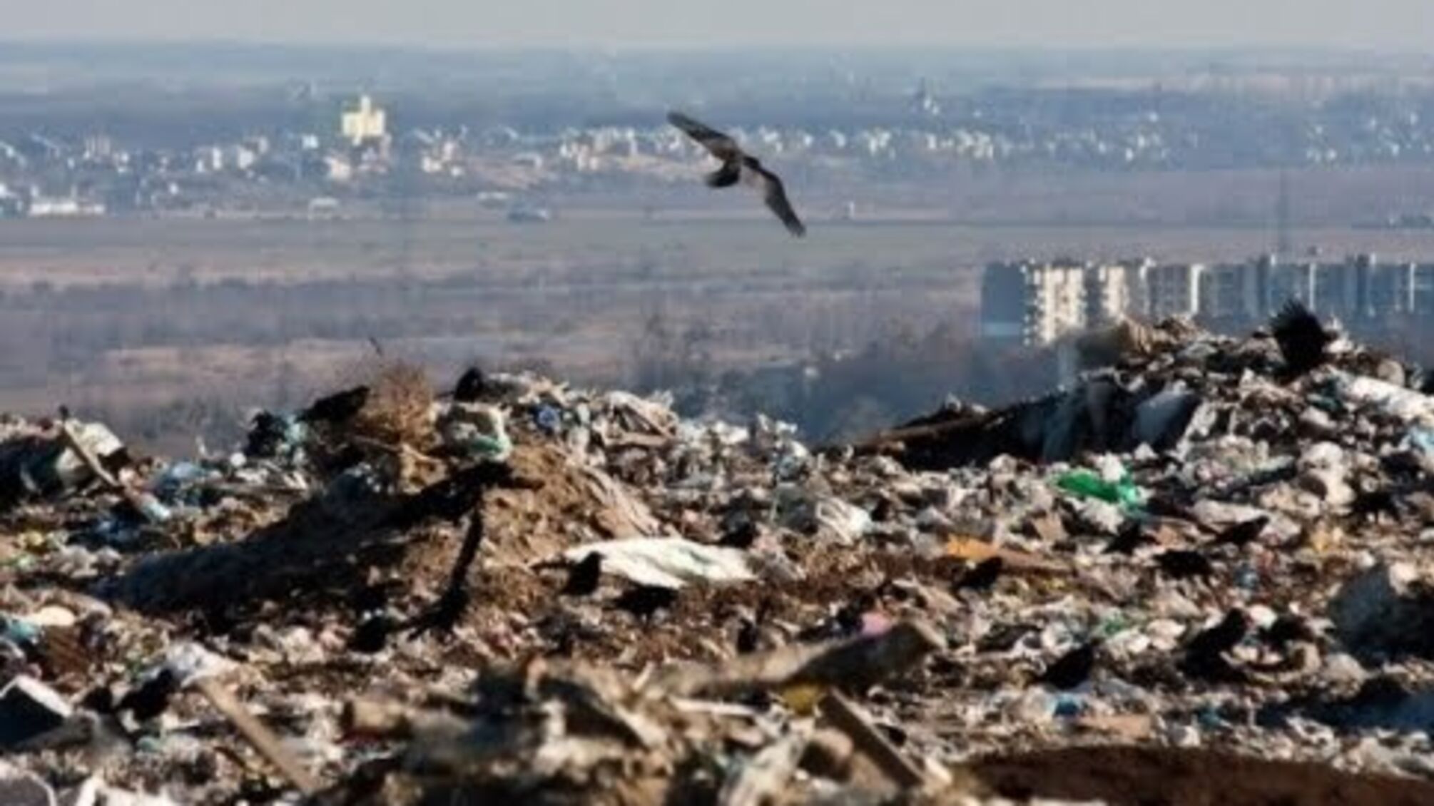 Після звернення активістів 'Стоп корупції' влада Святогірська ліквідувала незаконне сміттєзвалище