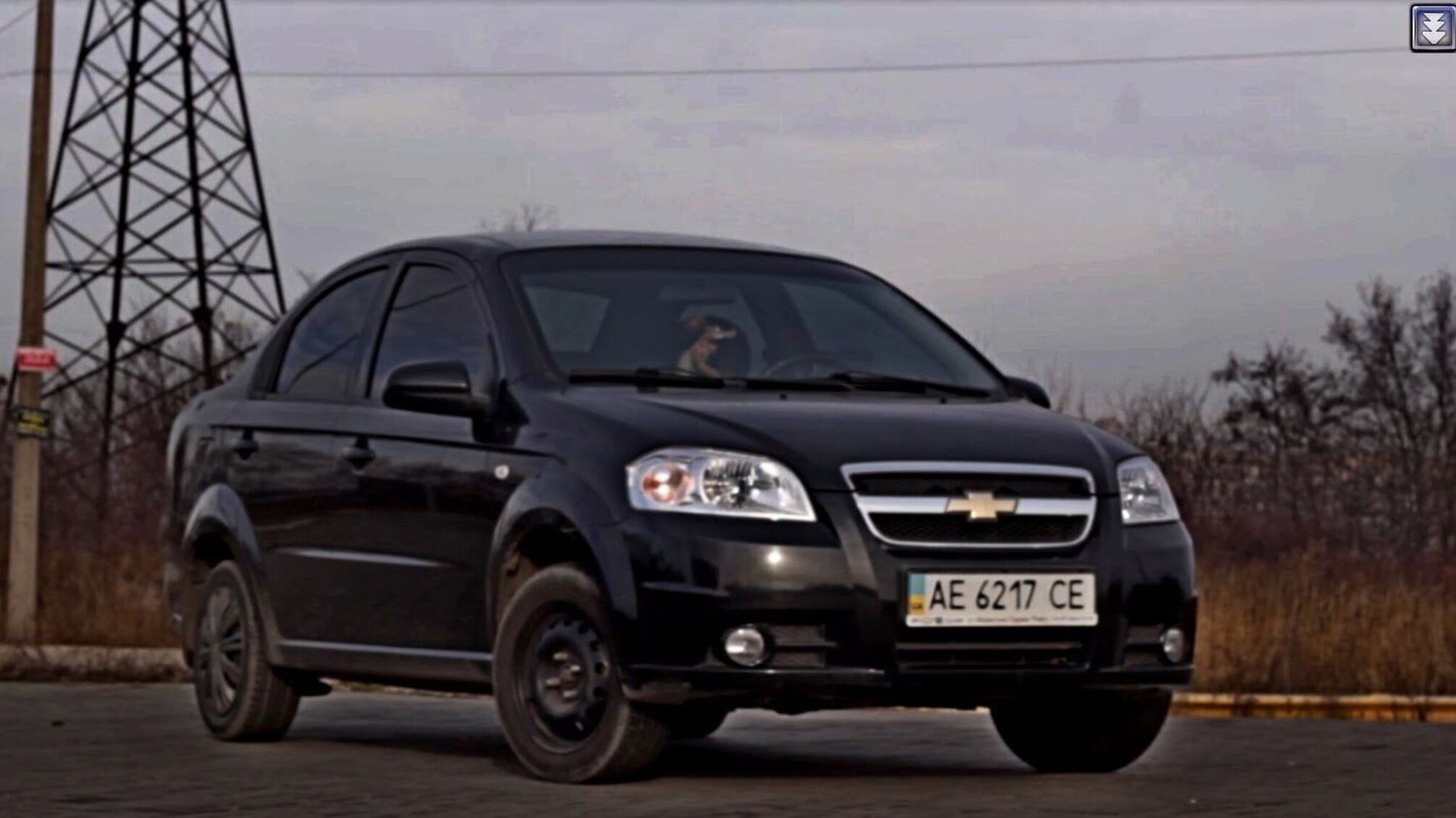 На Запоріжжі шахраї 'продають' неіснуючі автомобілі довірливим громадянам