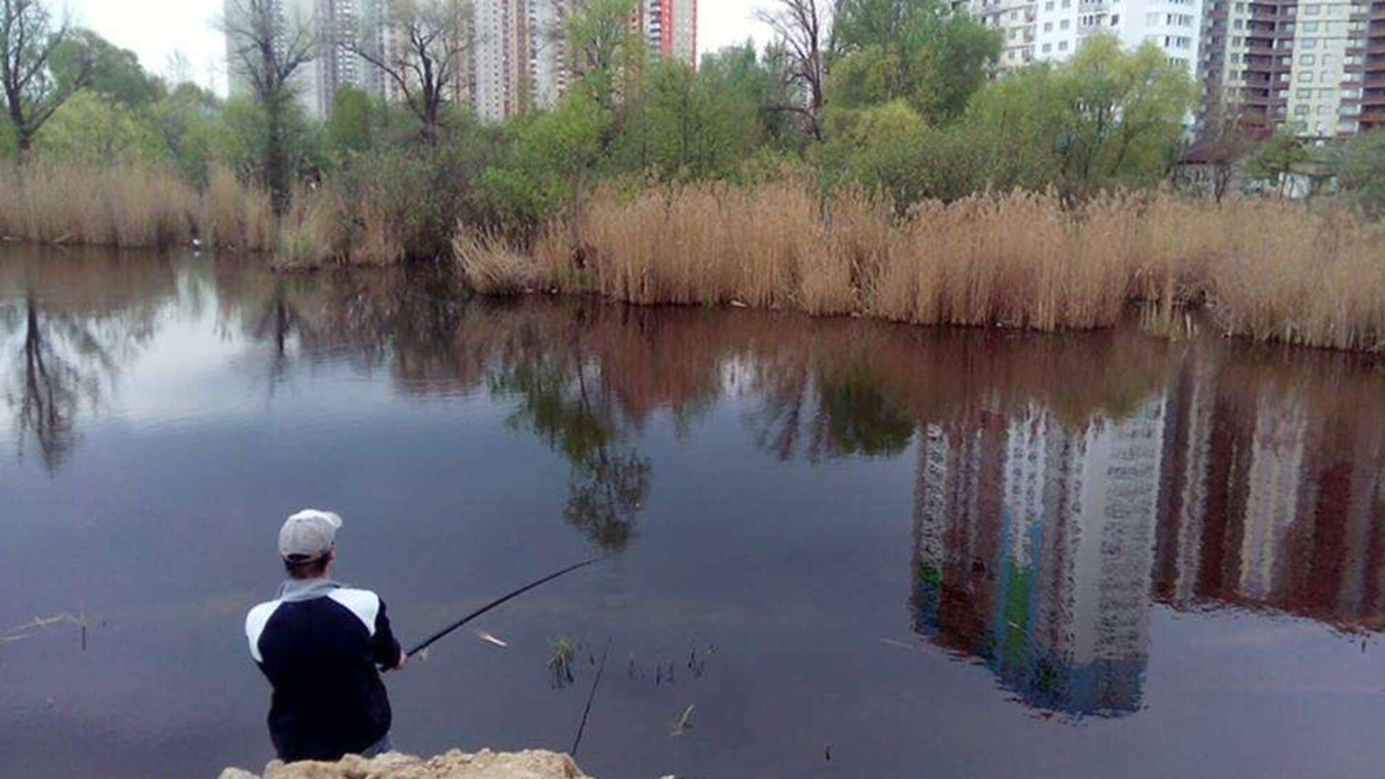Столичні депутати не можуть визначитись із долею озера Качине на Осокорках