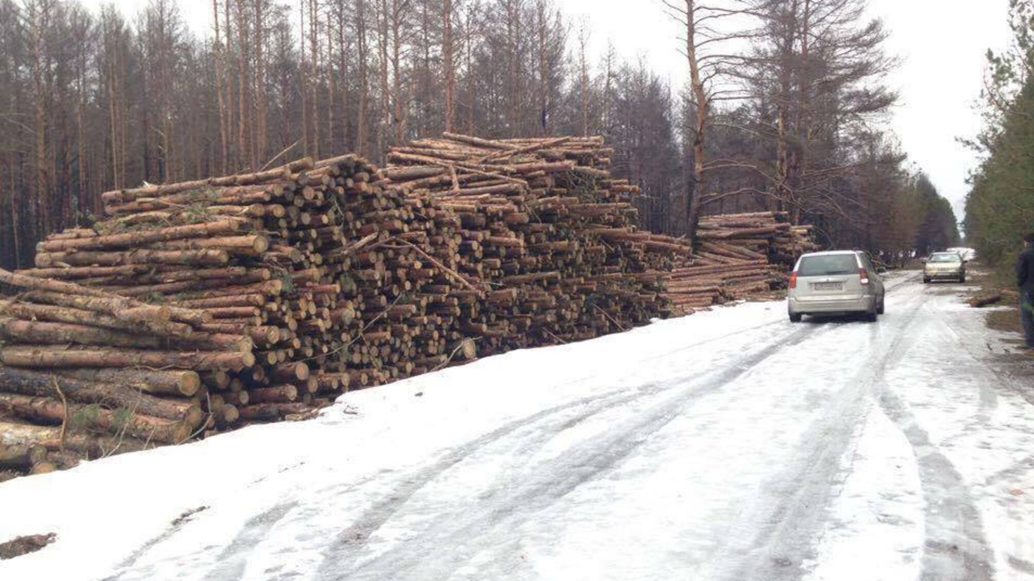 Бізнес у зоні відчуження. Журналісти 'СтопКору' розкрили аферу у Чорнобильській зоні