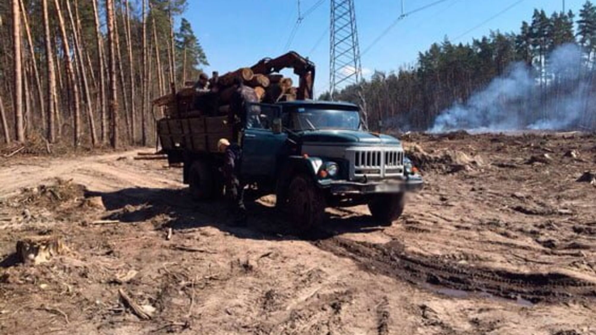Майстра лісу на Київщині затримали за хабарництво