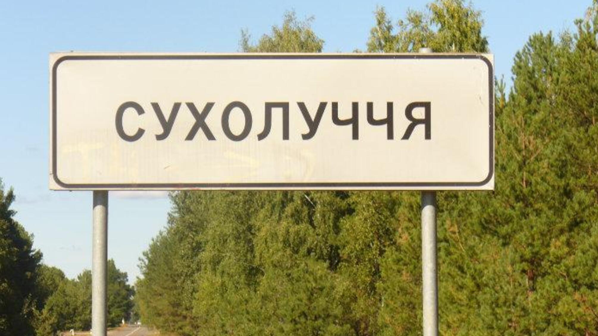 CБУ затримала спільника Януковича, причетного до заволодіння Сухолуччям