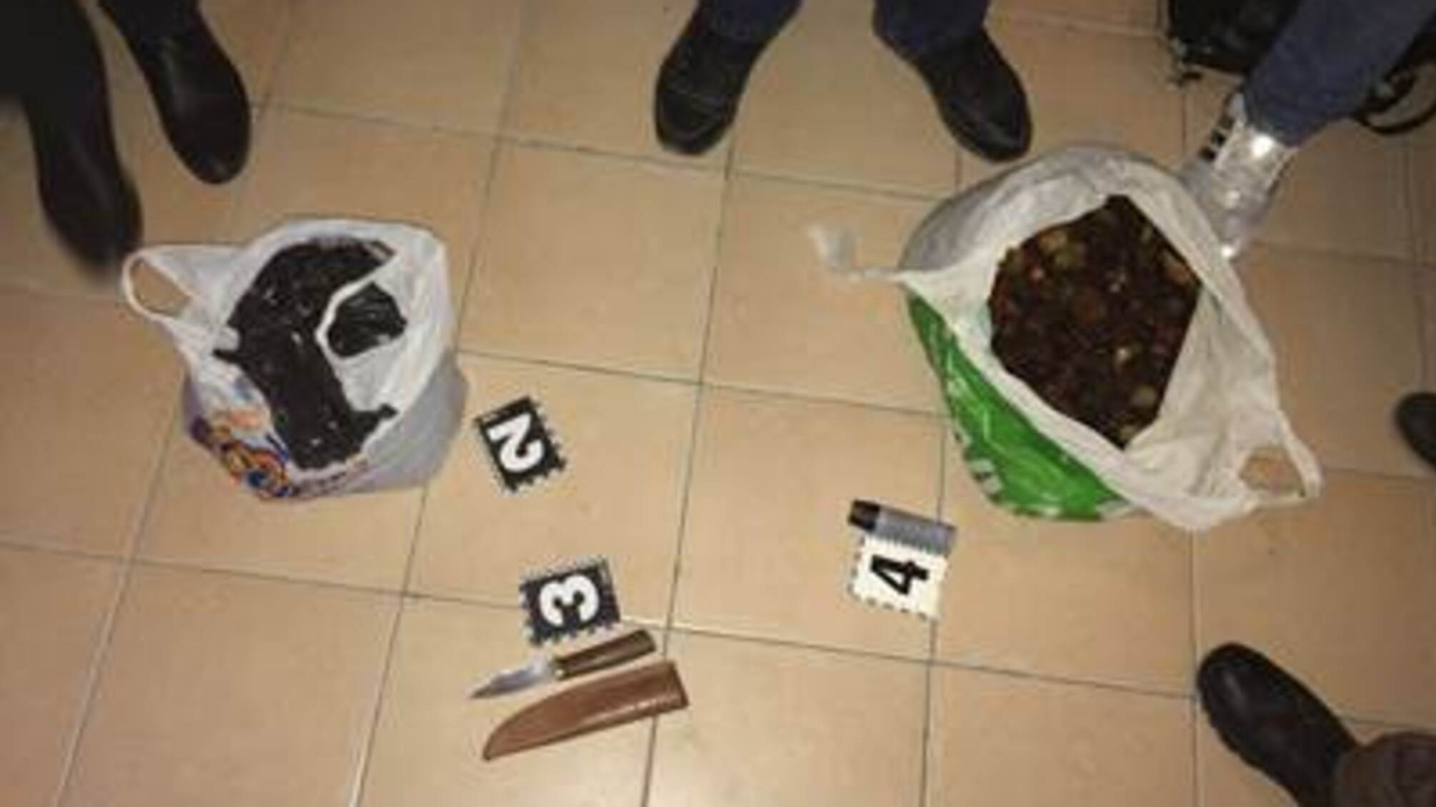 У Рівному злочинці намагалися продати 15 кілограмів незаконно видобутого бурштину